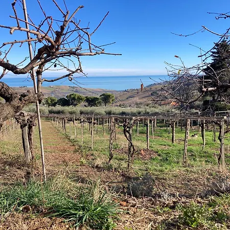 Ubytování v soukromí Podere Sant'anna - Tra Le Vigne