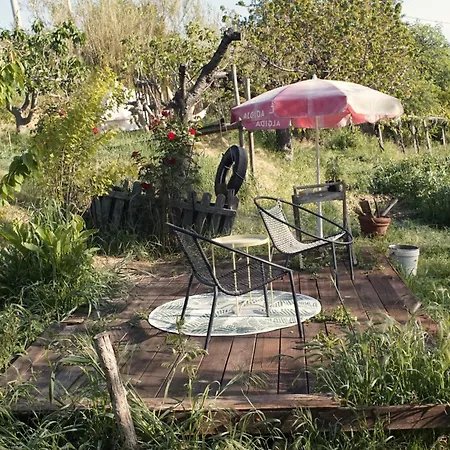 Homestay Podere Sant'anna - Tra Le Vigne Atri