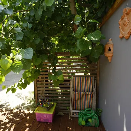 Podere Sant'anna - Tra Le Vigne Atri