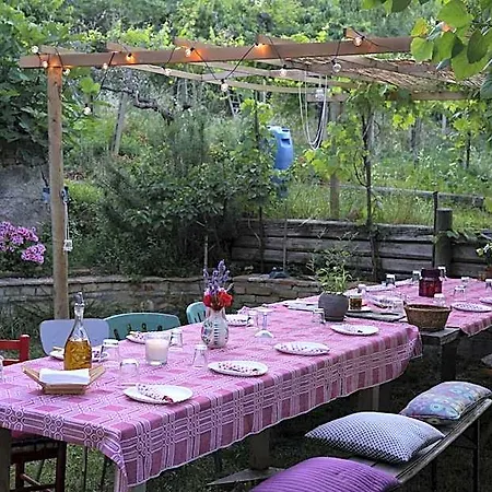 Podere Sant'anna - Tra Le Vigne Privat bolig *