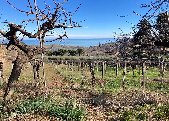 Quarto em Acomodações Particulares Podere Sant'anna - Tra Le Vigne