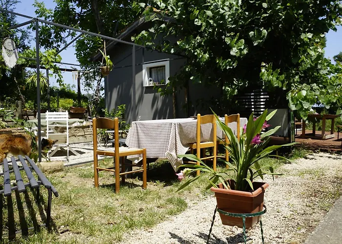 Podere Sant'anna - Tra Le Vigne