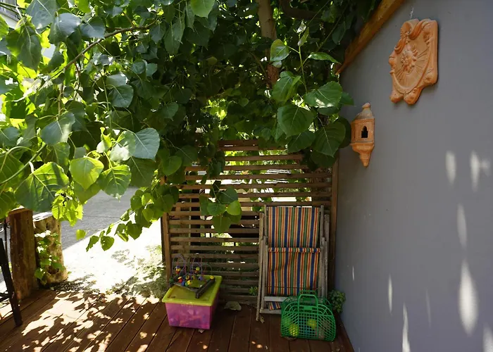 Podere Sant'anna - Tra Le Vigne Atri