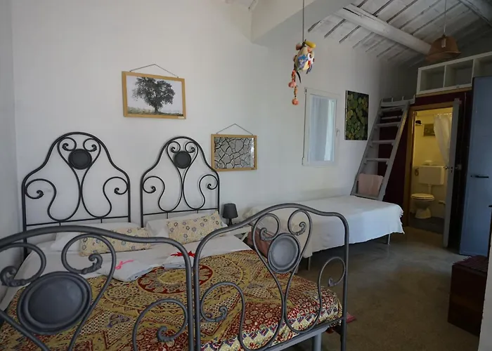 Podere Sant'anna - Tra Le Vigne Atri